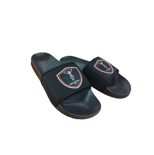 Aberavon Quins Sliders